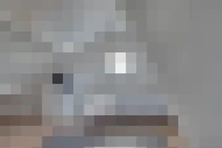 van Immerseelstraat 21 Loon op Zand thumbnail 57