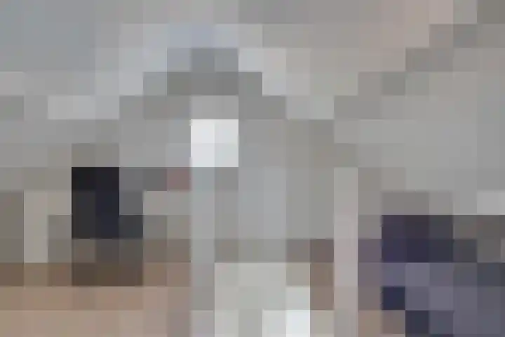 van Immerseelstraat 21 Loon op Zand thumbnail 59