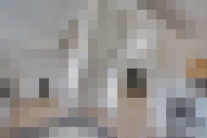 van Immerseelstraat 21 Loon op Zand thumbnail 61