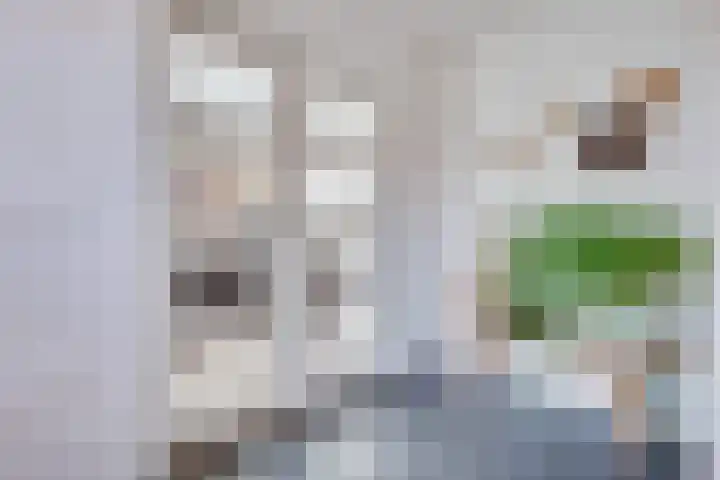 van Immerseelstraat 21 Loon op Zand thumbnail 9