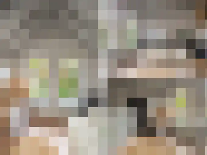 Van Ingenweg 42 Renkum thumbnail 12