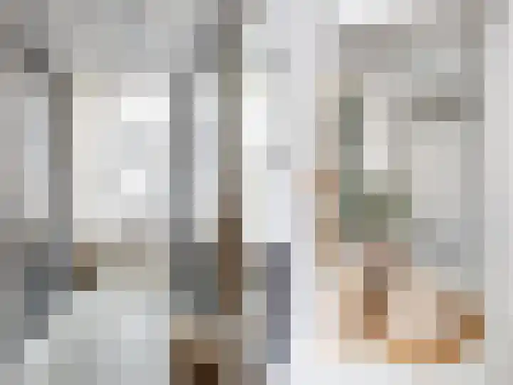 Van Ingenweg 42 Renkum thumbnail 13