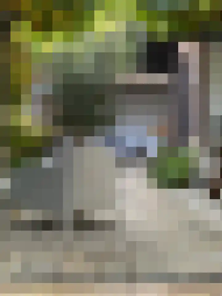 Van Ingenweg 42 Renkum thumbnail 18