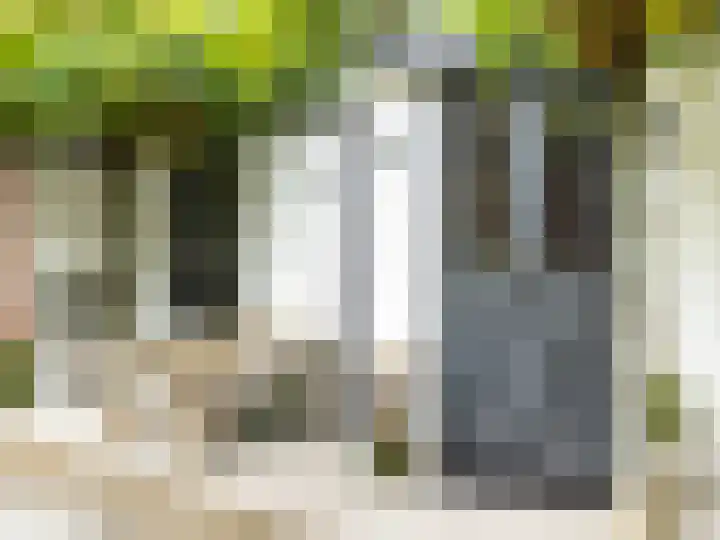 Van Ingenweg 42 Renkum thumbnail 19