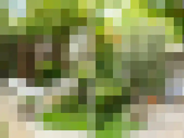 Van Ingenweg 42 Renkum thumbnail 20