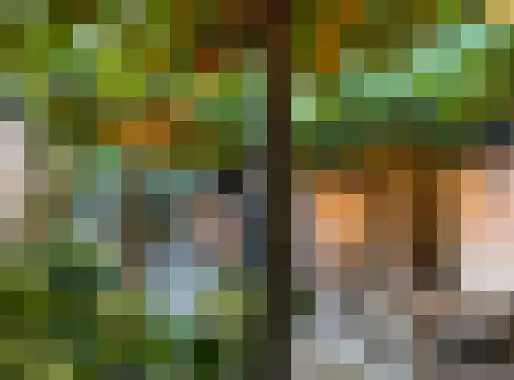 Van Ingenweg 42 Renkum thumbnail 21