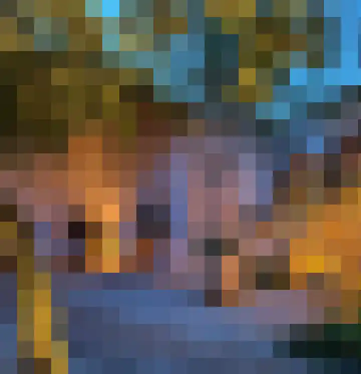 Van Ingenweg 42 Renkum thumbnail 23