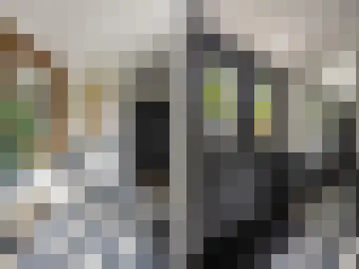 Van Ingenweg 42 Renkum thumbnail 4