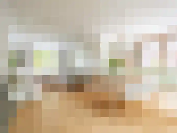 Van Ingenweg 42 Renkum thumbnail 5