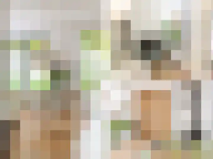 Van Ingenweg 42 Renkum thumbnail 8