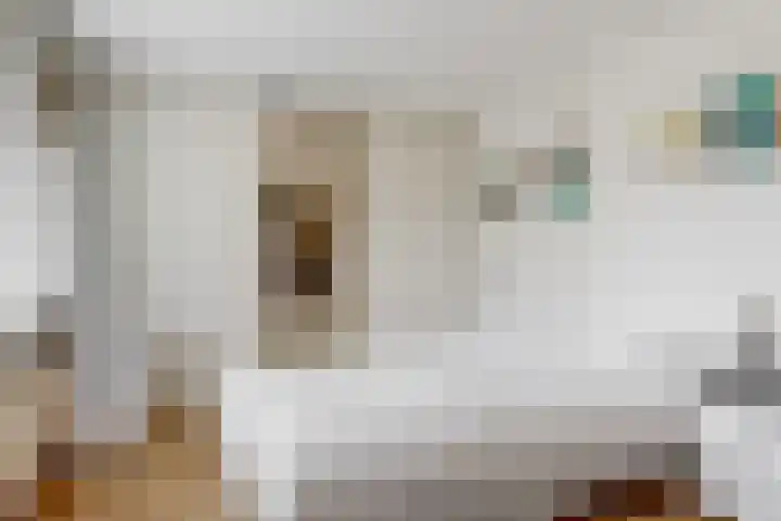 Van Ingenweg 48 Renkum thumbnail 10