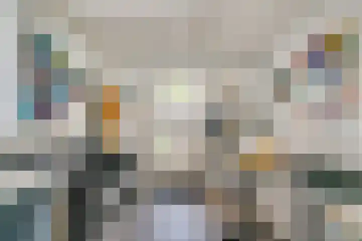 Van Ingenweg 48 Renkum thumbnail 31
