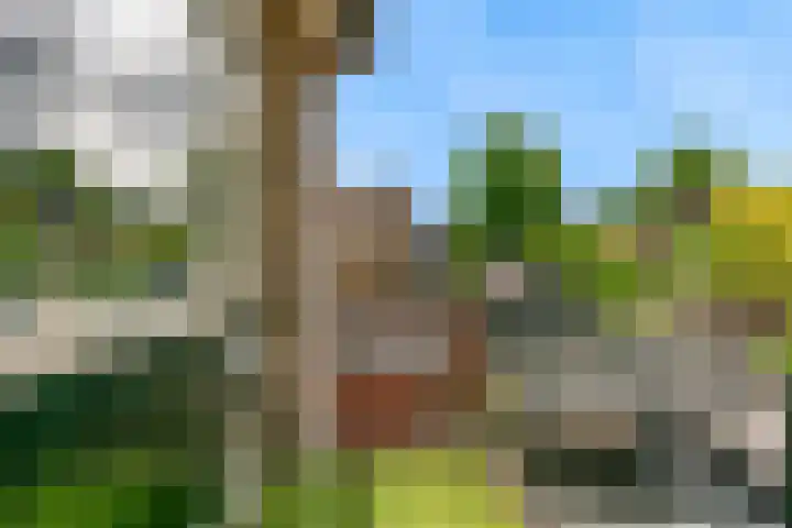 Van Ingenweg 48 Renkum thumbnail 32
