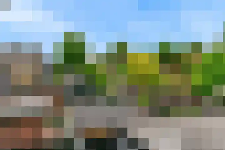 Van Ingenweg 48 Renkum thumbnail 33