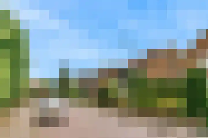 Van Ingenweg 48 Renkum thumbnail 37