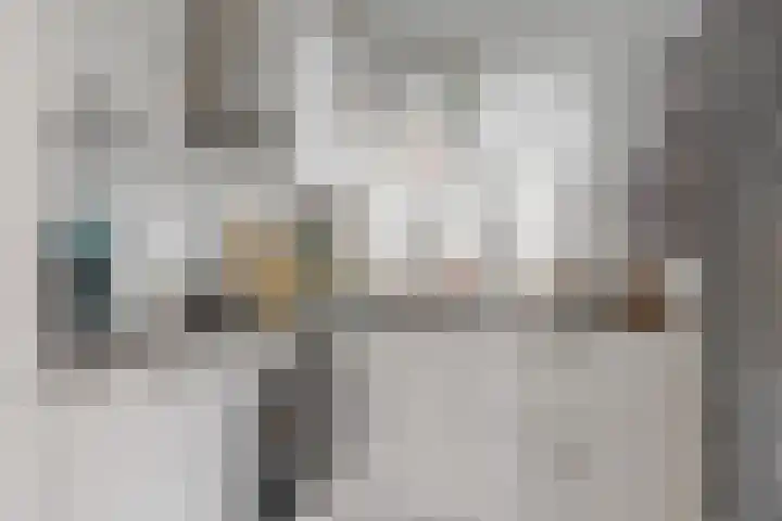 Van Ingenweg 48 Renkum thumbnail 8