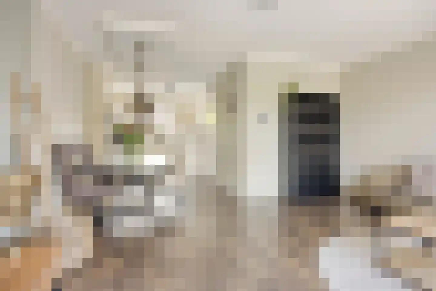 Van Innevelthof 21 Maasdijk thumbnail 14