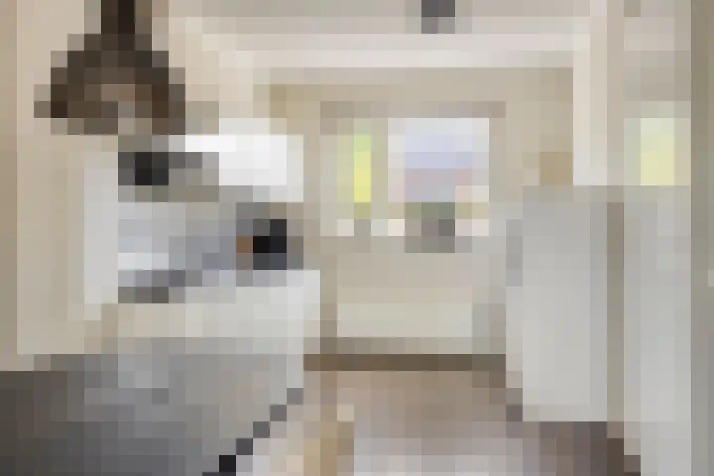 Van Innevelthof 21 Maasdijk thumbnail 15
