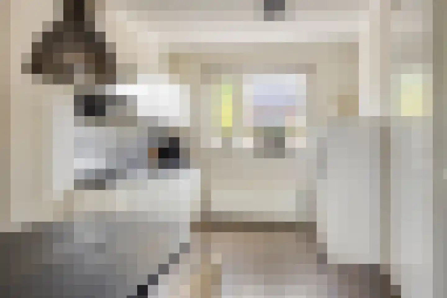 Van Innevelthof 21 Maasdijk thumbnail 15