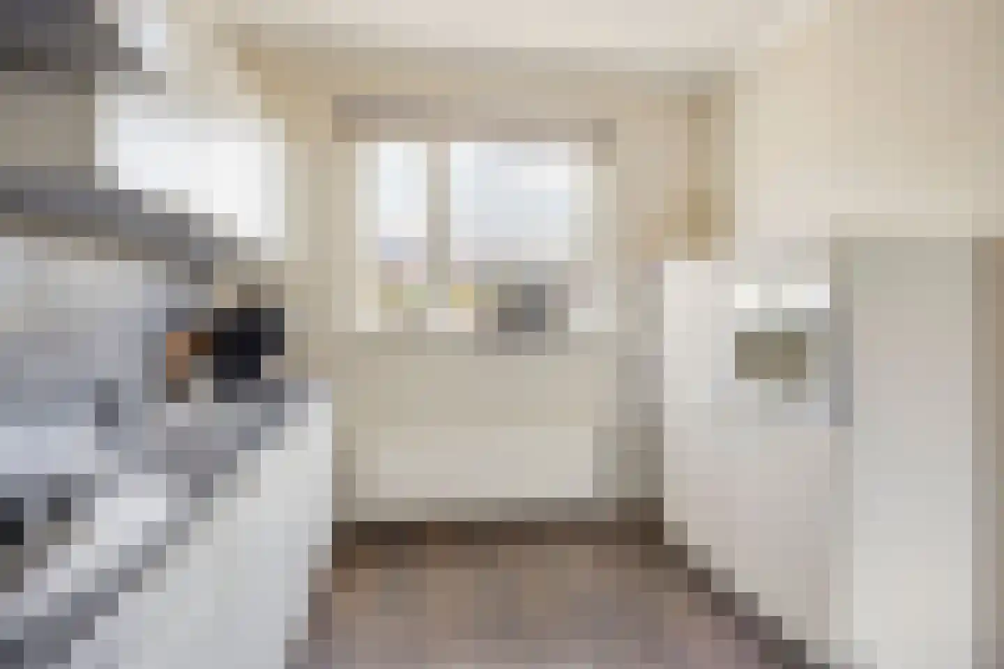 Van Innevelthof 21 Maasdijk thumbnail 16
