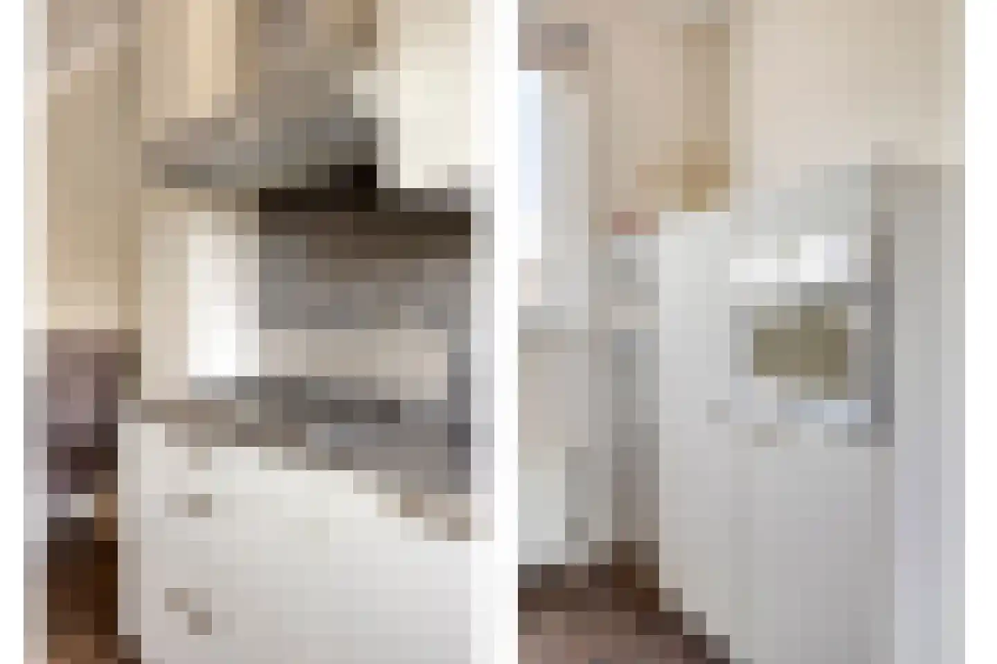 Van Innevelthof 21 Maasdijk thumbnail 17