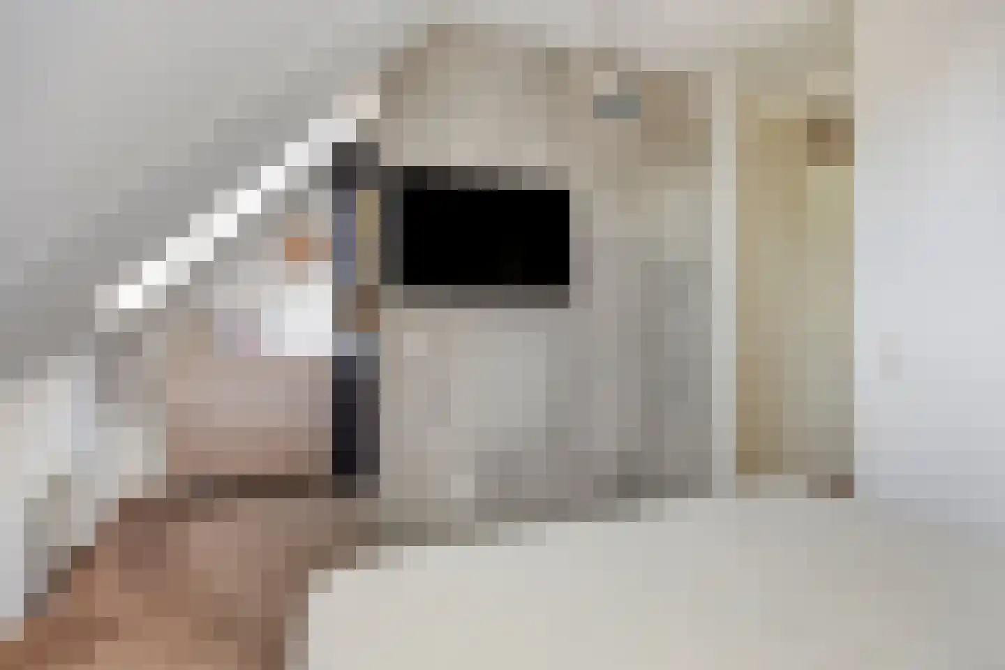 Van Innevelthof 21 Maasdijk thumbnail 21