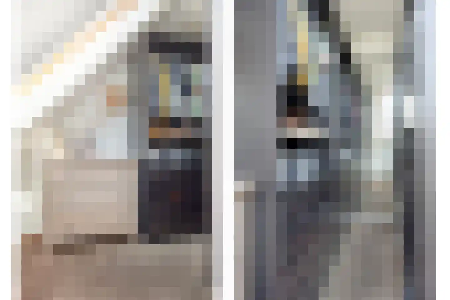 Van Innevelthof 21 Maasdijk thumbnail 22