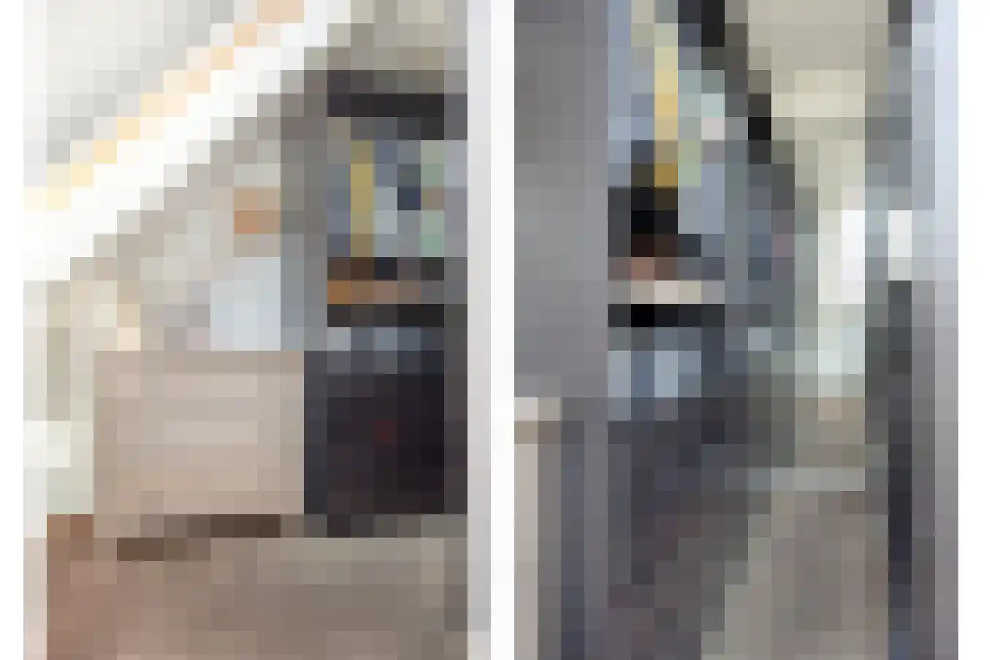 Van Innevelthof 21 Maasdijk thumbnail 22