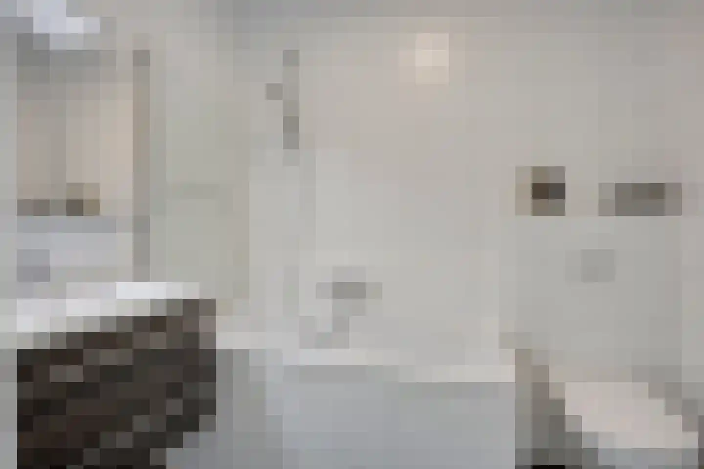 Van Innevelthof 21 Maasdijk thumbnail 23