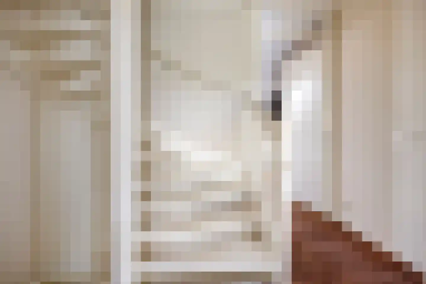 Van Innevelthof 21 Maasdijk thumbnail 29