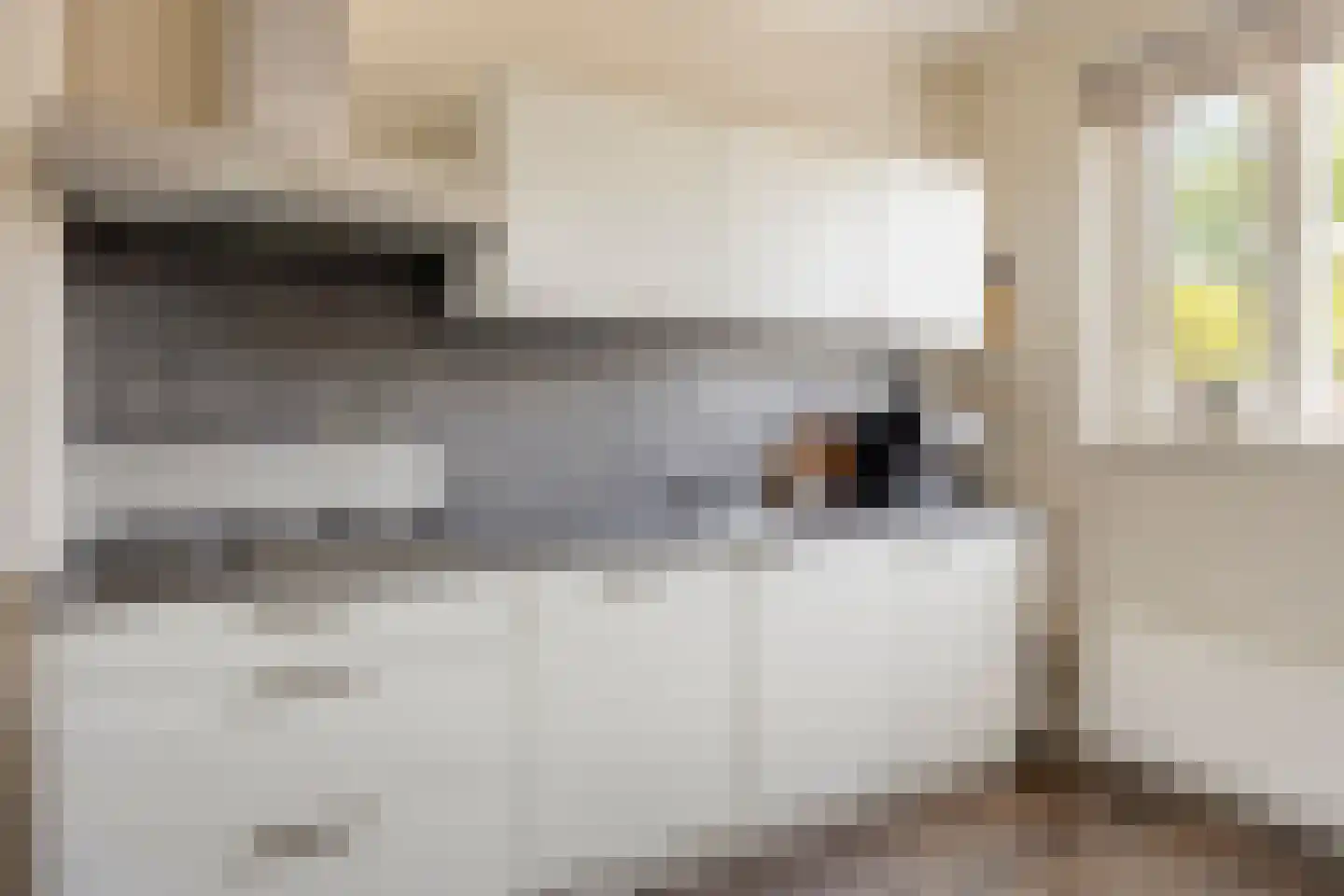 Van Innevelthof 21 Maasdijk thumbnail 4