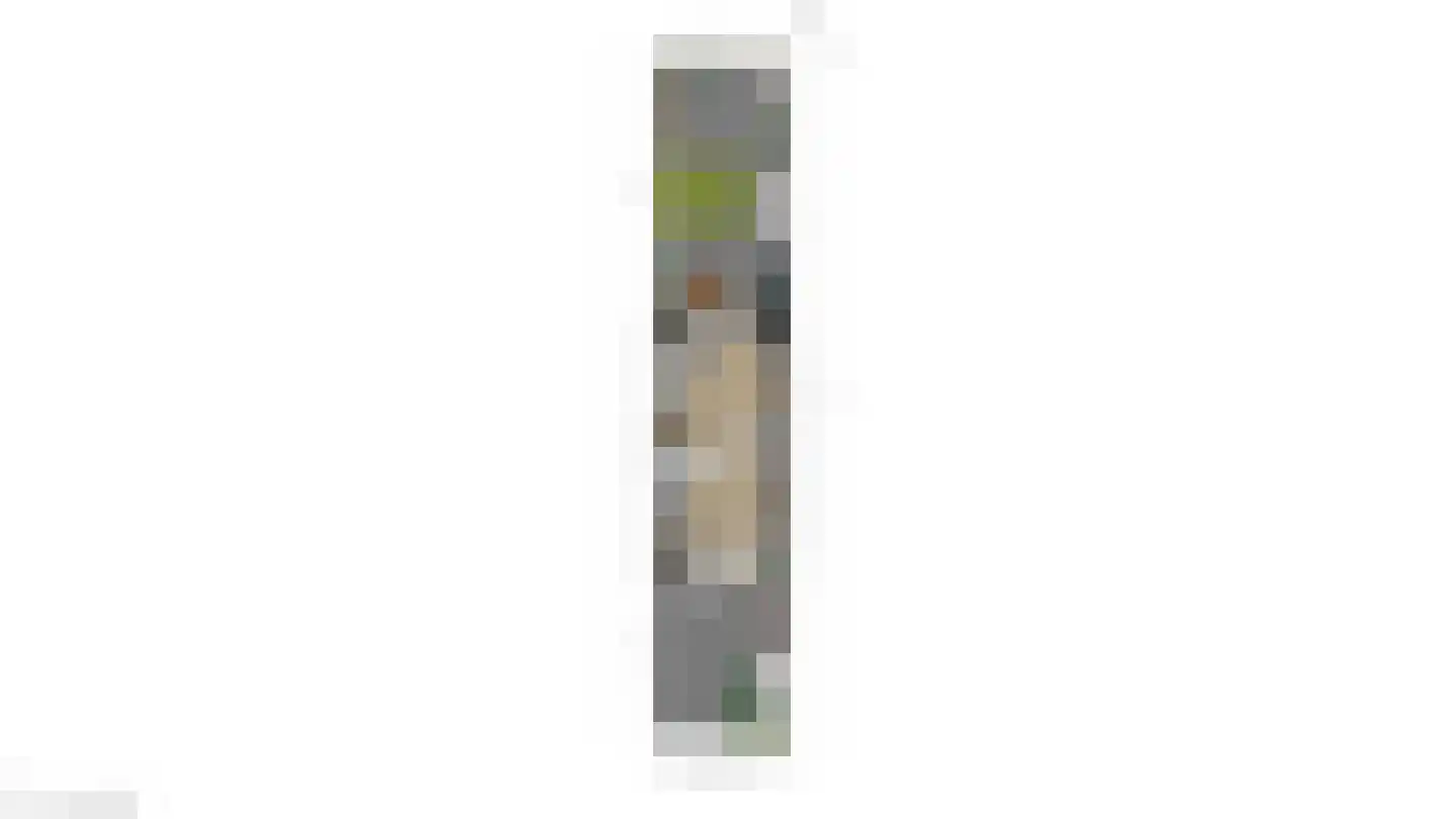 Van Innevelthof 21 Maasdijk thumbnail 43
