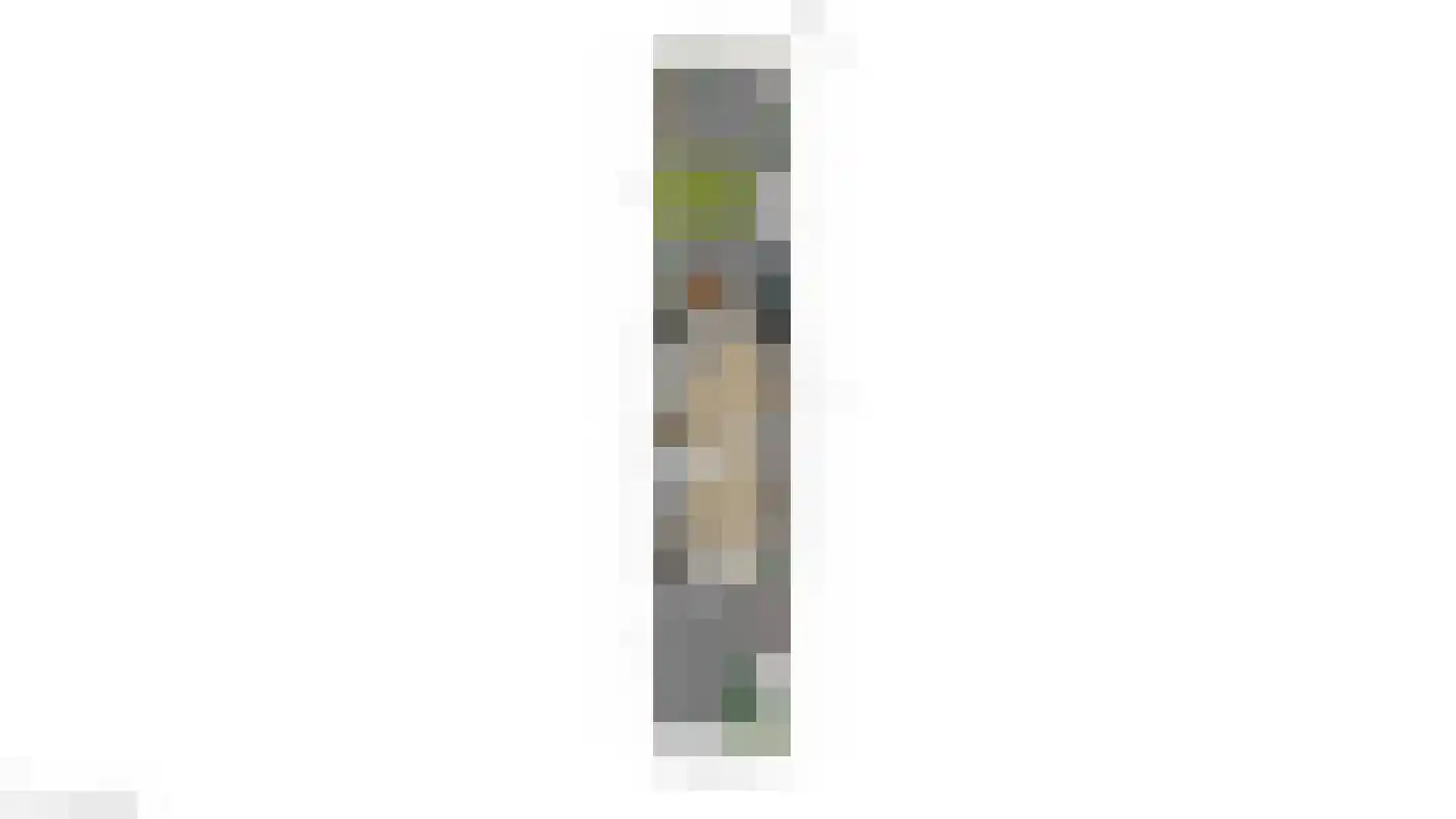 Van Innevelthof 21 Maasdijk thumbnail 43