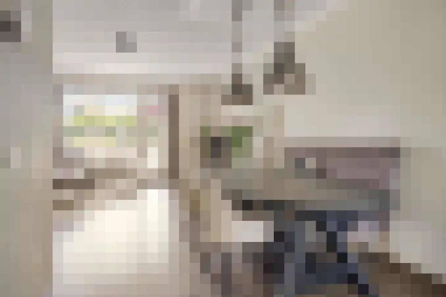 Van Innevelthof 21 Maasdijk thumbnail 7