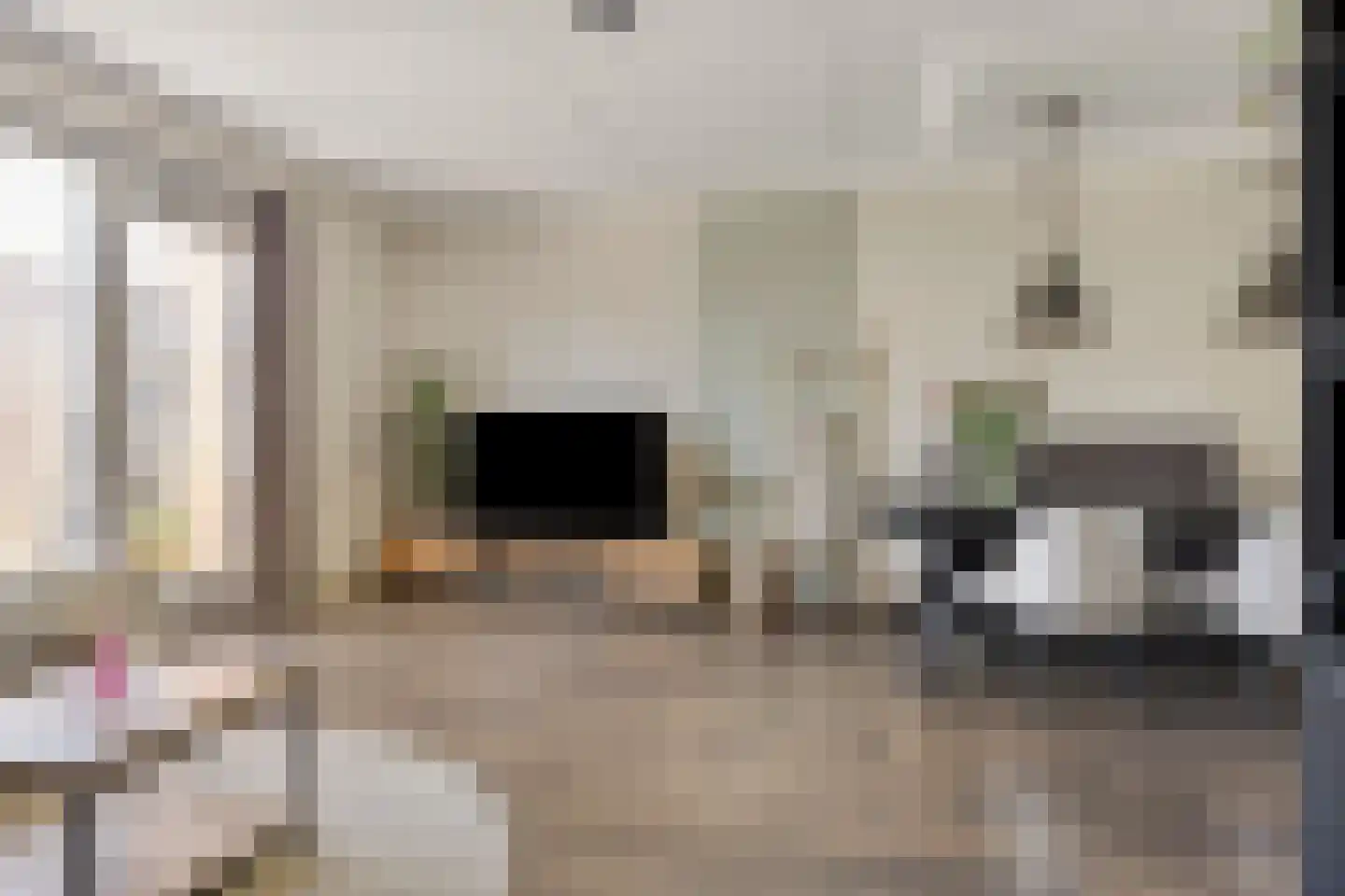 Van Innevelthof 21 Maasdijk thumbnail 9