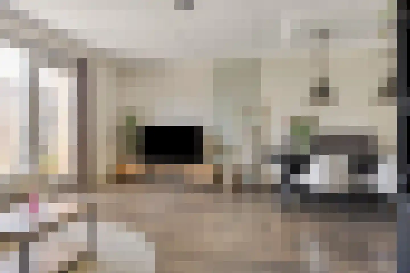 Van Innevelthof 21 Maasdijk thumbnail 9