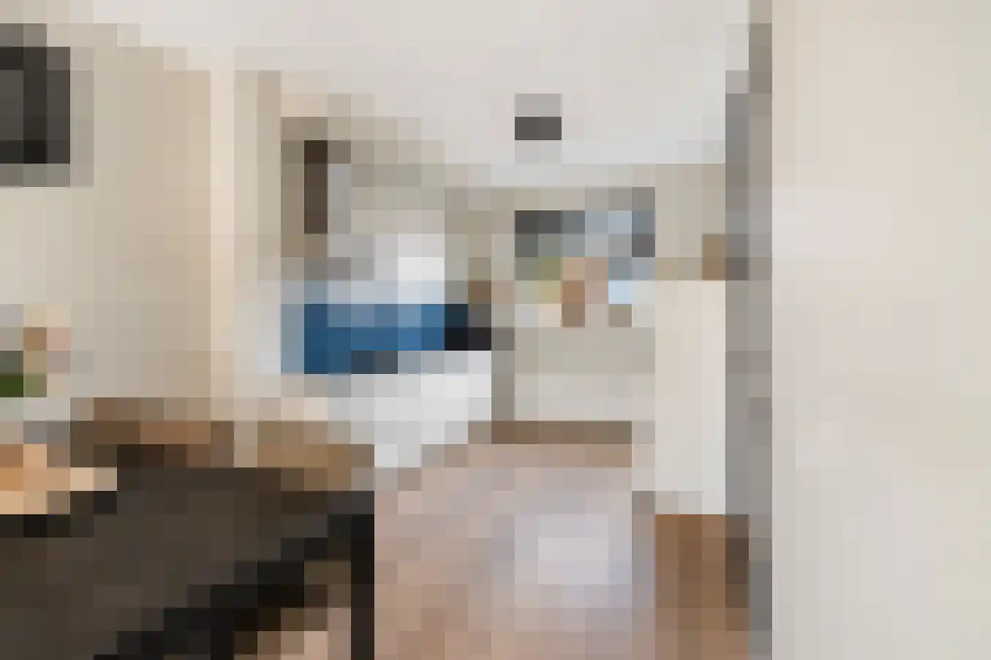 Van Innevelthof 9 Maasdijk thumbnail 13