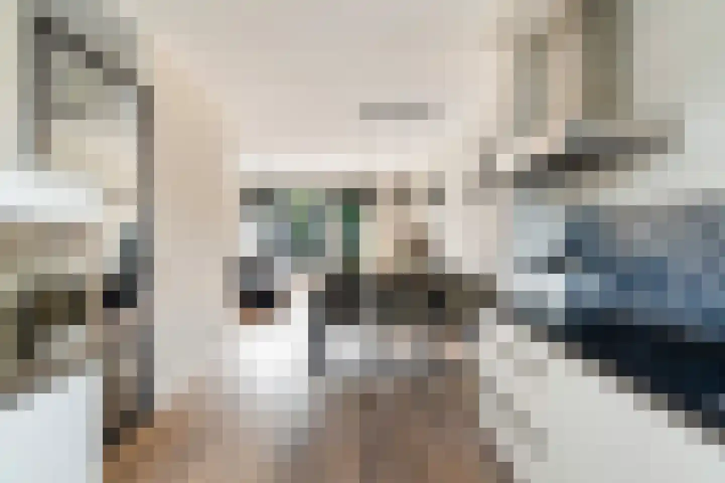 Van Innevelthof 9 Maasdijk thumbnail 14
