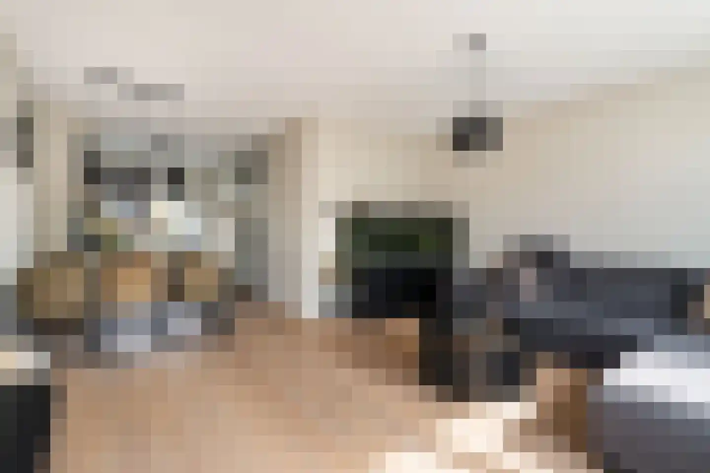 Van Innevelthof 9 Maasdijk thumbnail 15