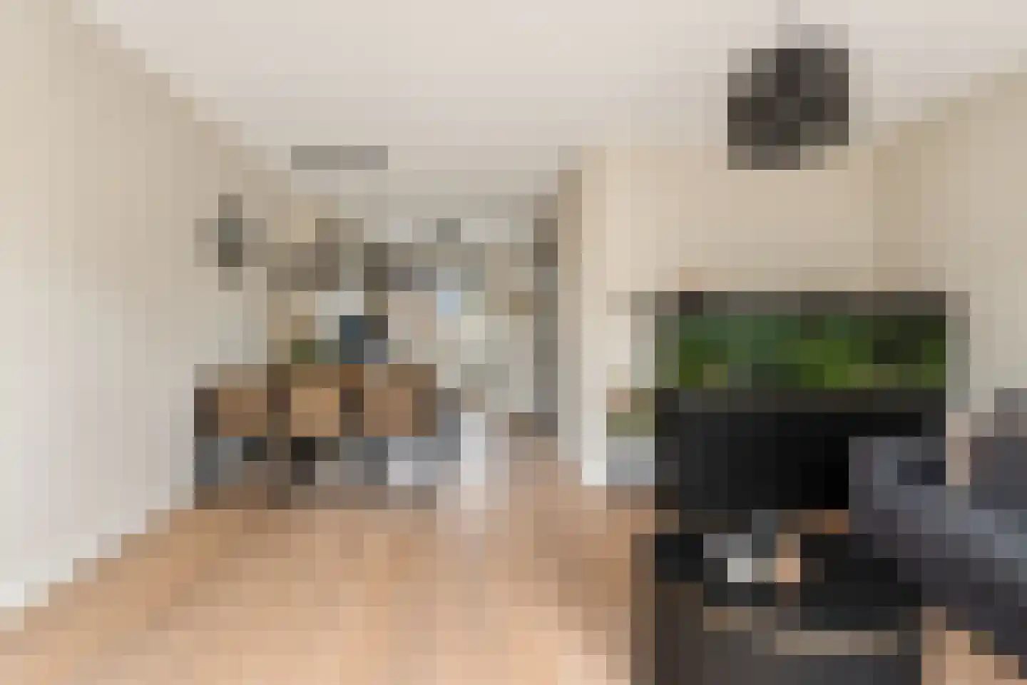 Van Innevelthof 9 Maasdijk thumbnail 16
