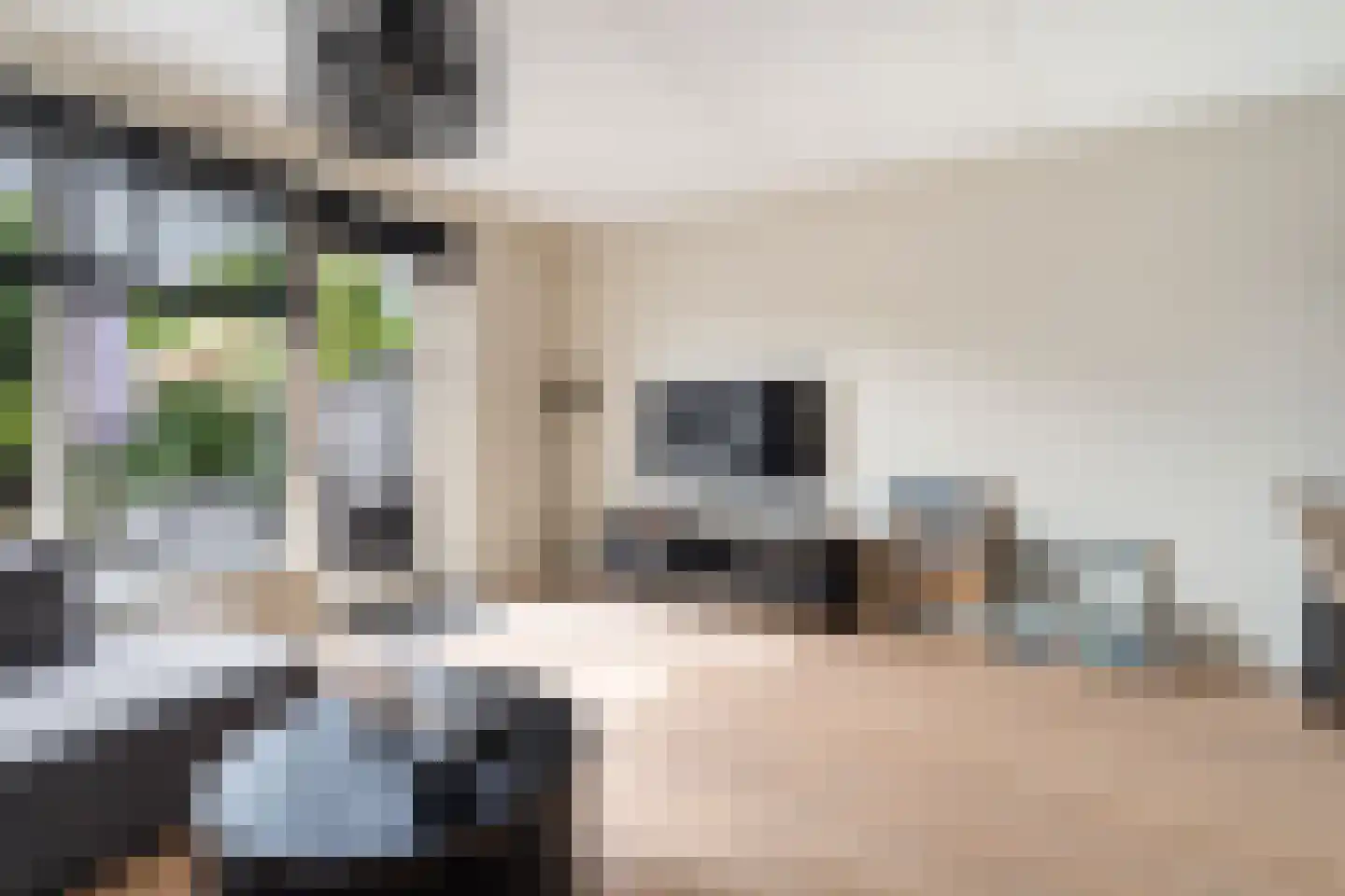 Van Innevelthof 9 Maasdijk thumbnail 17