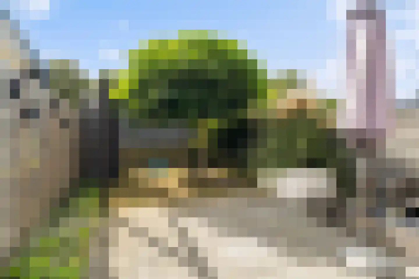Van Innevelthof 9 Maasdijk thumbnail 19