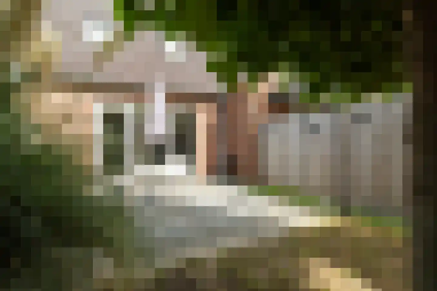 Van Innevelthof 9 Maasdijk thumbnail 21