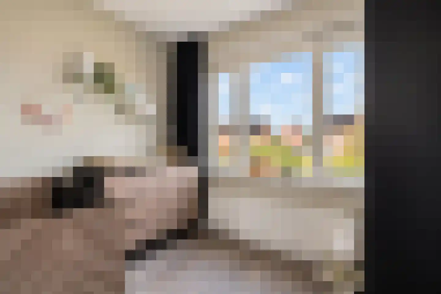 Van Innevelthof 9 Maasdijk thumbnail 27