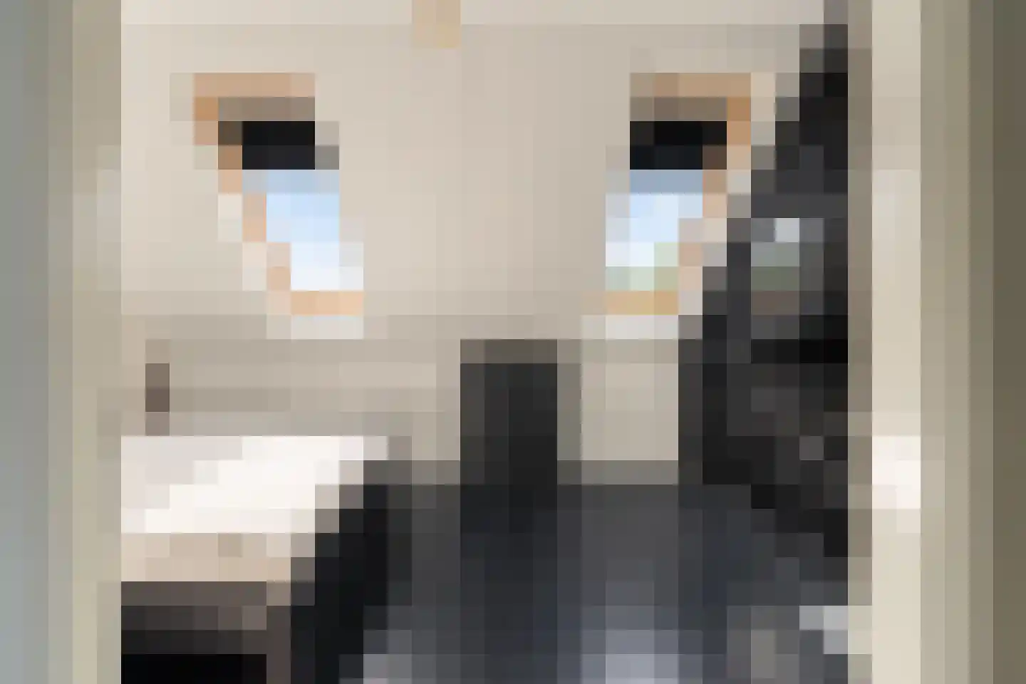 Van Innevelthof 9 Maasdijk thumbnail 29