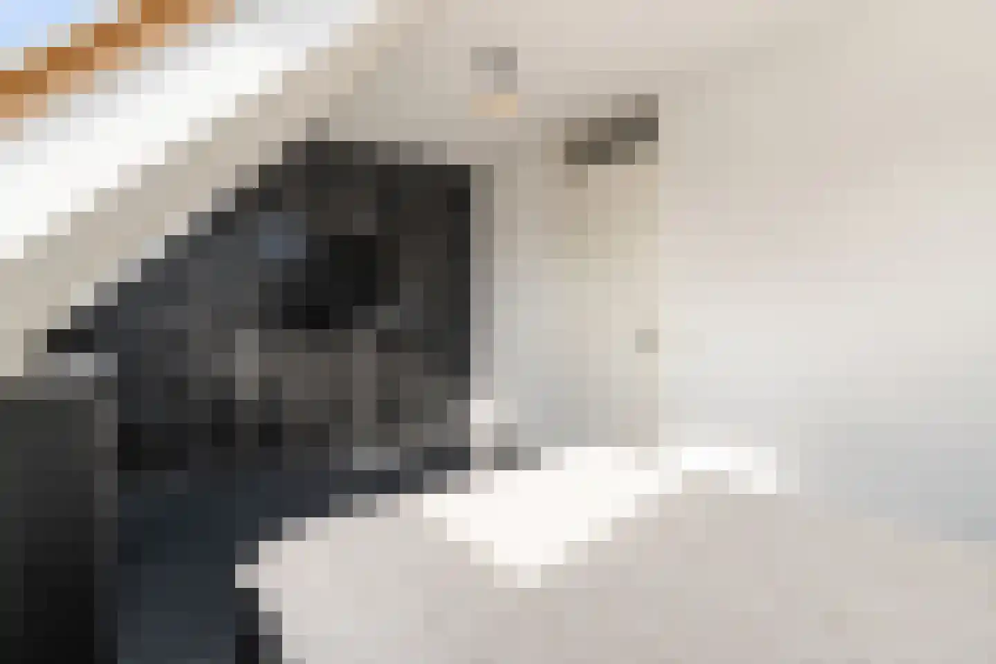 Van Innevelthof 9 Maasdijk thumbnail 31