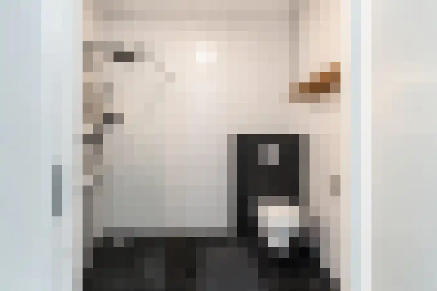 Van Innevelthof 9 Maasdijk thumbnail 34