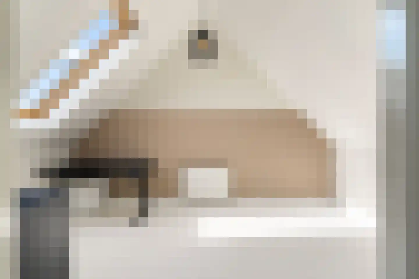 Van Innevelthof 9 Maasdijk thumbnail 37
