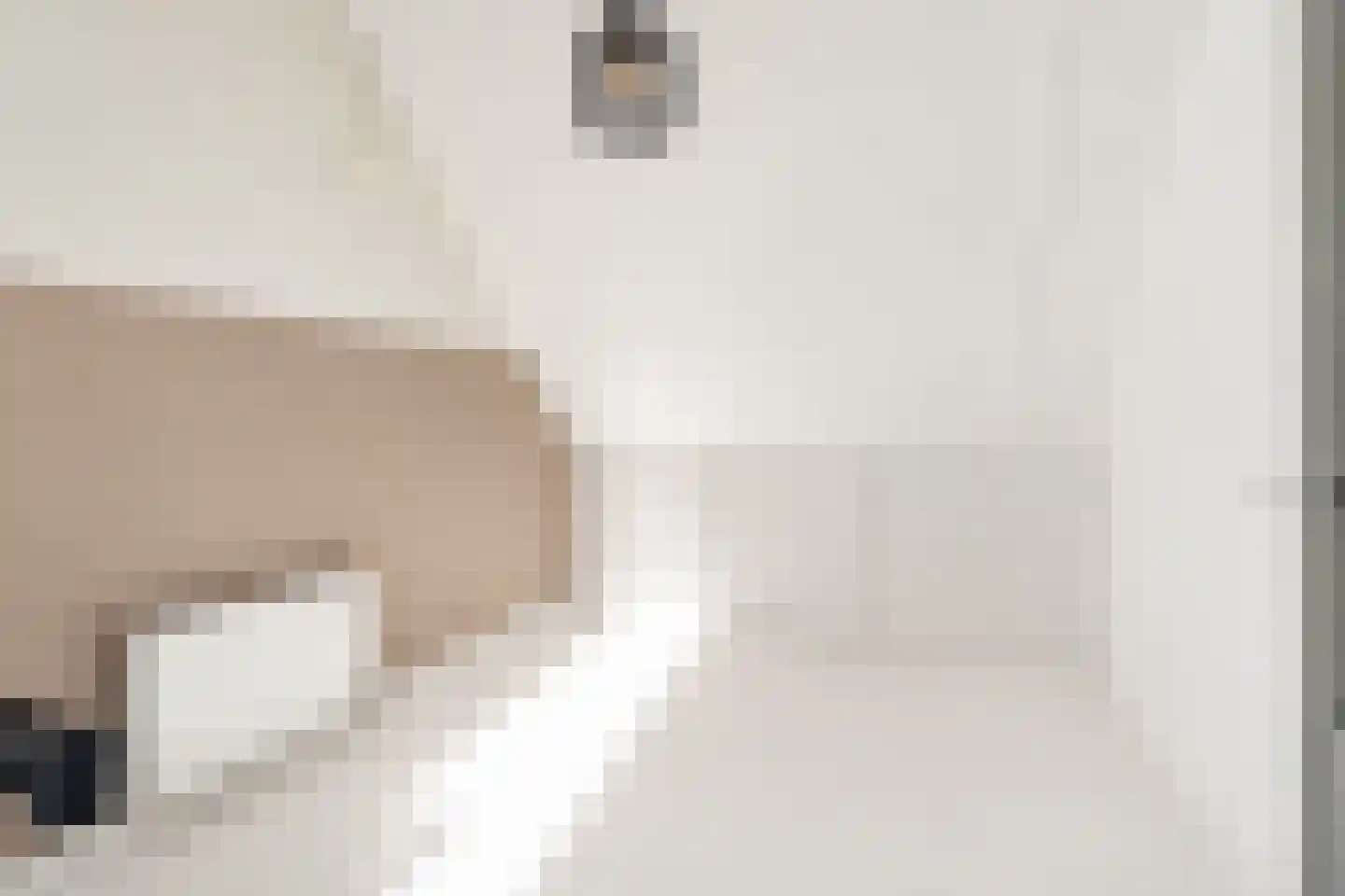 Van Innevelthof 9 Maasdijk thumbnail 39