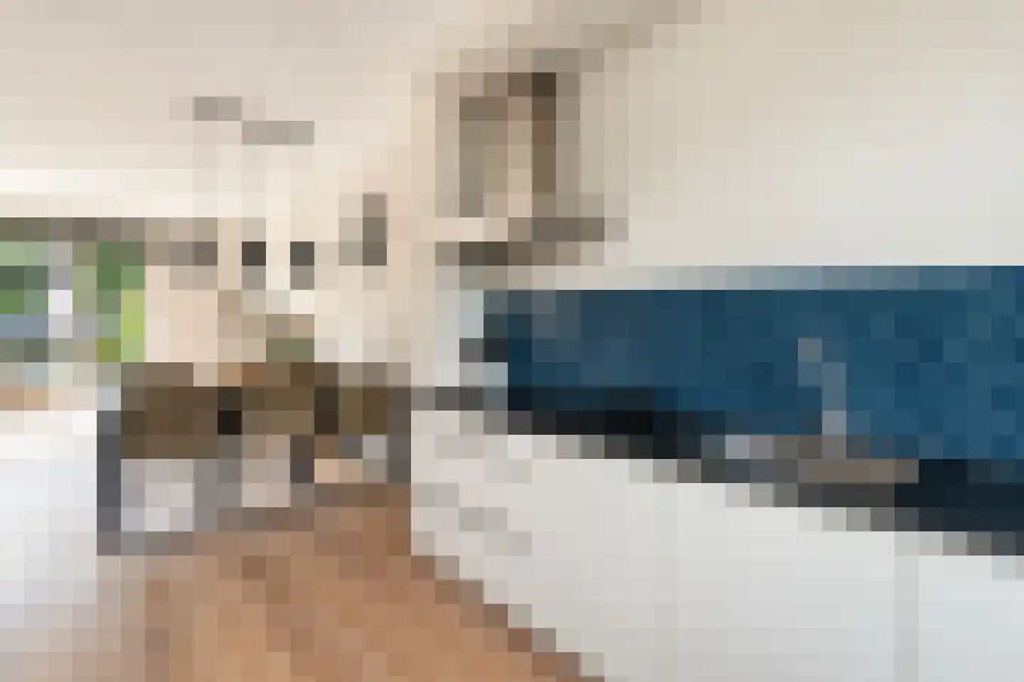 Van Innevelthof 9 Maasdijk thumbnail 4